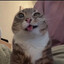 no kizzy