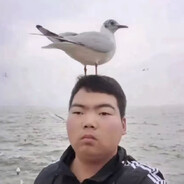 海鸥会为我停留，你呢