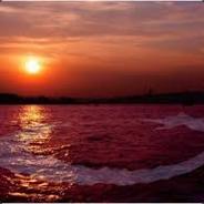Paparoz - steam id 76561198262805728