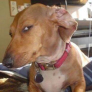 ♿Iseeyoucheating♿