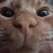 Alexander (Cat's version)