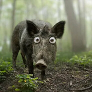 Очкокабана