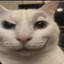wobblin's avatar