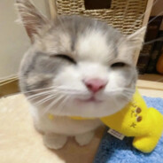 宇宙爆炸也爱岚兮儿