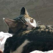 心软是直男失去屁股的开始