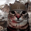 I like cats