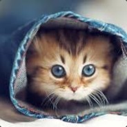 NoBodY kn0w$ mE