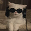 pts dealer
