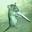 Mr Mousey