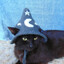 Tibbles