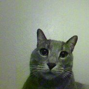 meow