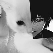 ✠𝐊𝐀𝐓.