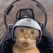 传奇猫猫飞行员