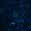 shape of blue