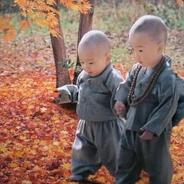 我想找个大神带