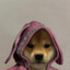 miau_miau_playttv