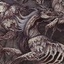 ponyMosh