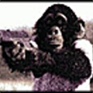 KillMonkey - steam id 76561197960488322