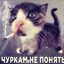 Ашкудишкинс