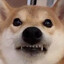 Shiba Jai