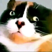 ника фенебут