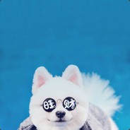 女人我只睡蔡徐坤