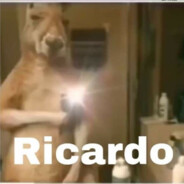 Ricardo avatar