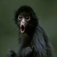 Nicemonkeyman