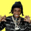 LennyZ QLF