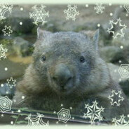 Binky(Vombatus Francus Rocketus)