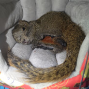 接受悲伤将爱继续延续