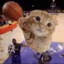 COOL CAT BASKETBALL PLAYER