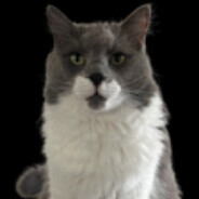 DRAKULA-666 - steam id 76561199049835709