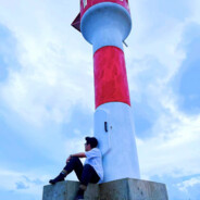 铁骨铮铮墙头草