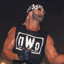 WeeHawky RIP Hogan. nWo 4Life