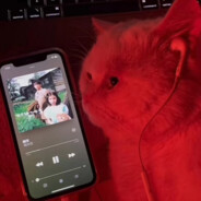 可惜你不听ge qian