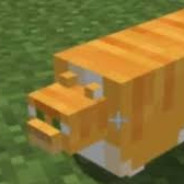 BigboiGarry