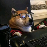 唯有过往，最伤人心