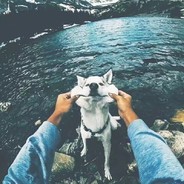 相思雨尽梦长安