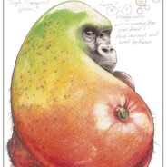 _Mangorilla_