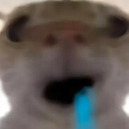 我想加入天际俯冲