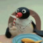 pengu