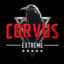 Corvus