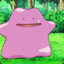 Ditto King