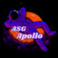 Apollo