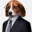 Political Doggo