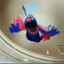 Super Grover