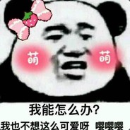 日本感情动作戏总编剧