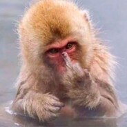 青青草原羊村第一沸羊