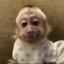 greg333